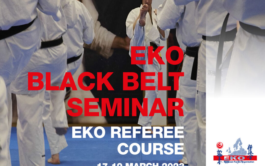 Black Belt Seminar